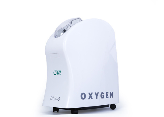High Oxygen Purity Portable Air Concentrator, Konsentrator Oksigen Kecil Portabel